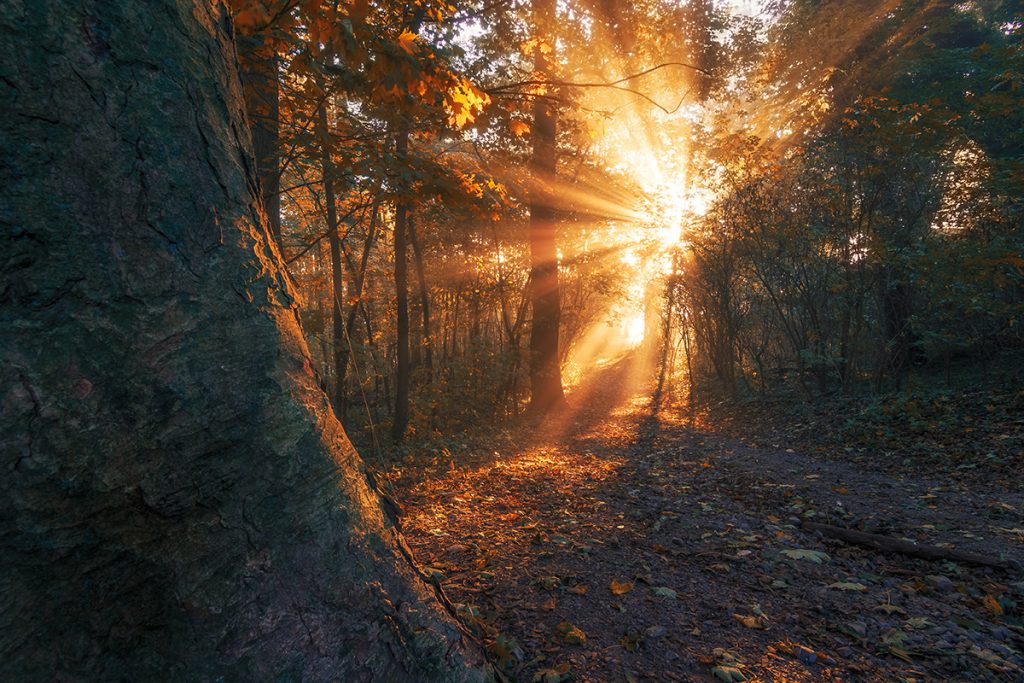 magic moments