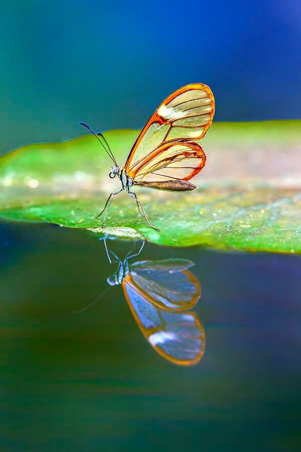 magic moments