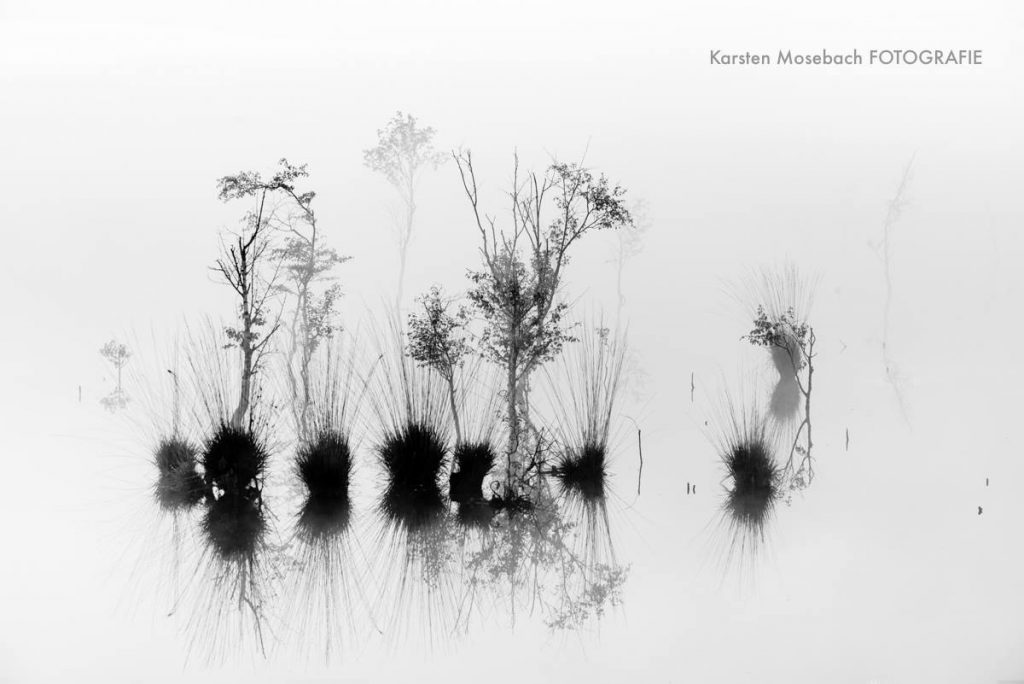 magic moments