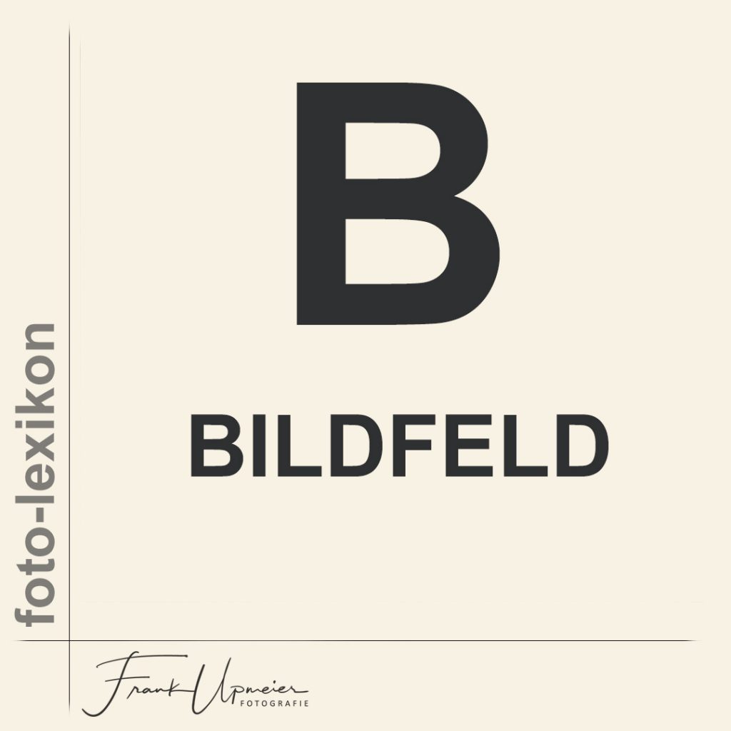 bildfeld