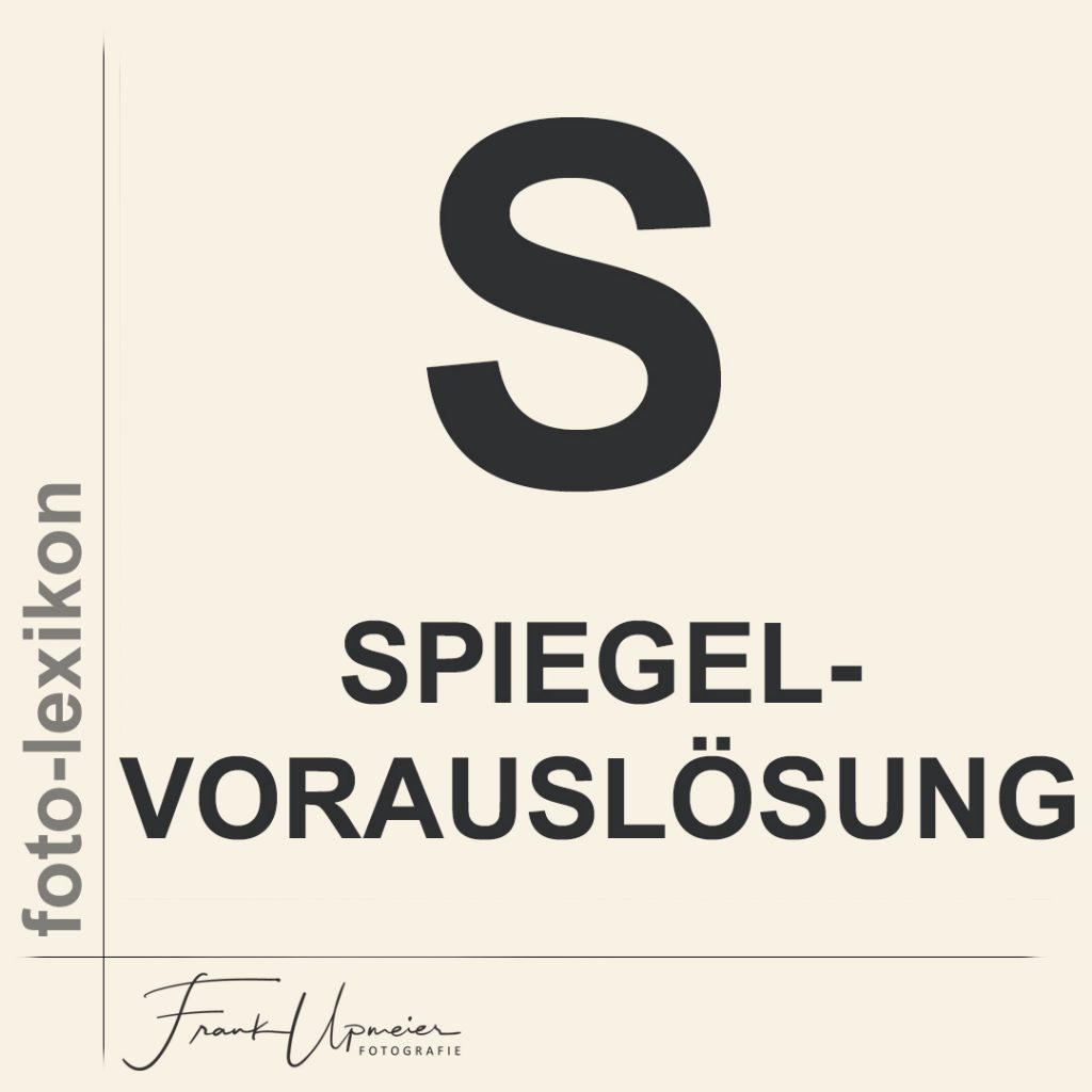 spiegelvorauslösung