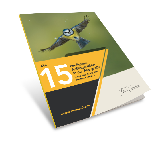 ebook 15 fehler