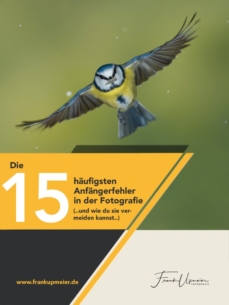 Cover ebook