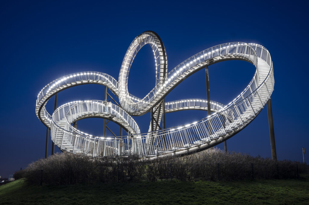 Tiger & Turtle